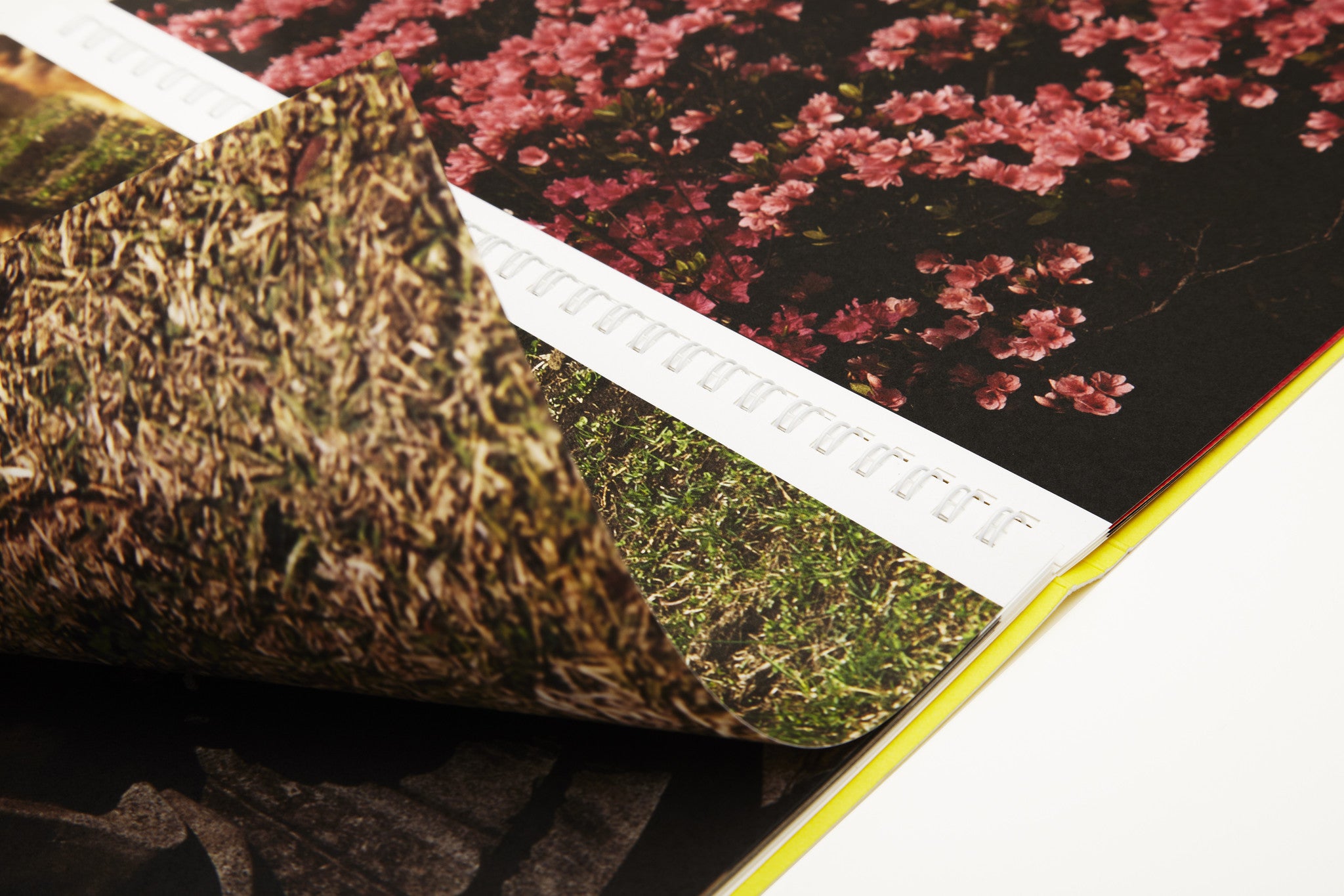 Takuma Nakahira. GECKO. Out of Print.